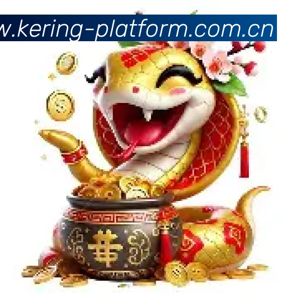 企业概况